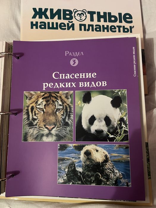 Набор журналов животные нашей планеты