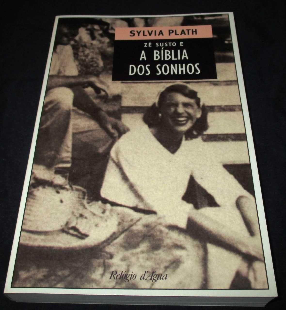 Livro Zé Susto e a Bíblia dos Sonhos Sylvia Plath