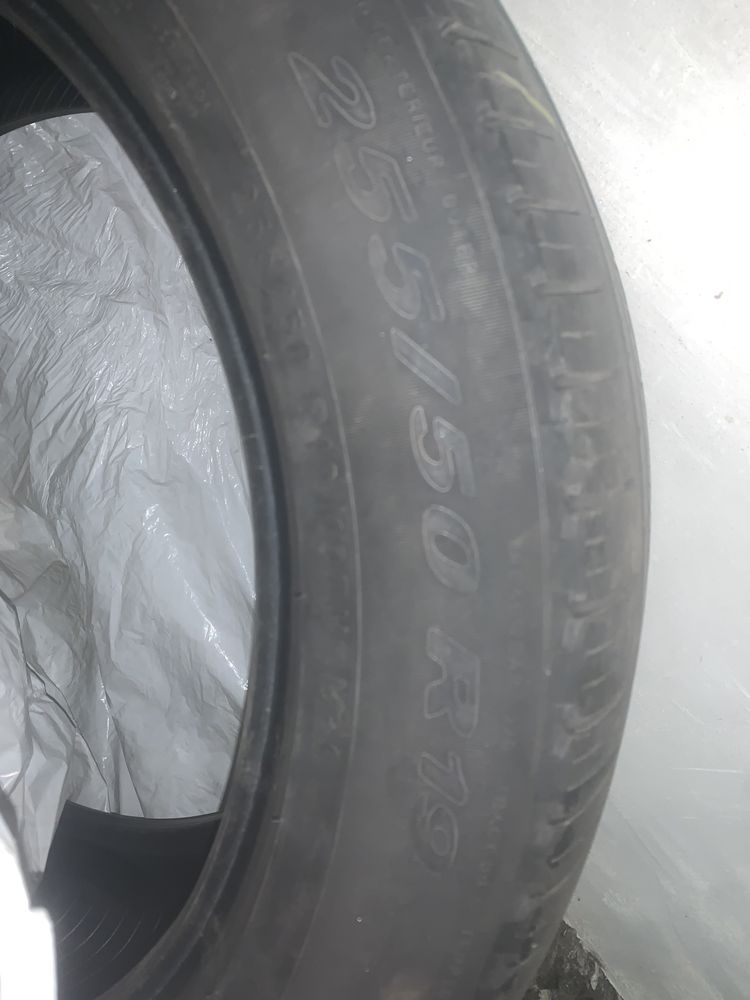 Pirelli scorpion verde 255/50 R19