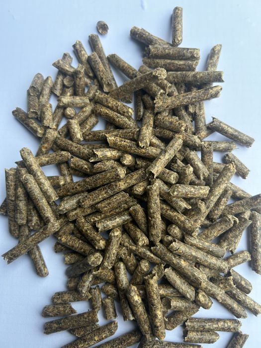 Pellet z drzewa lisciastego (olcha-brzoza)