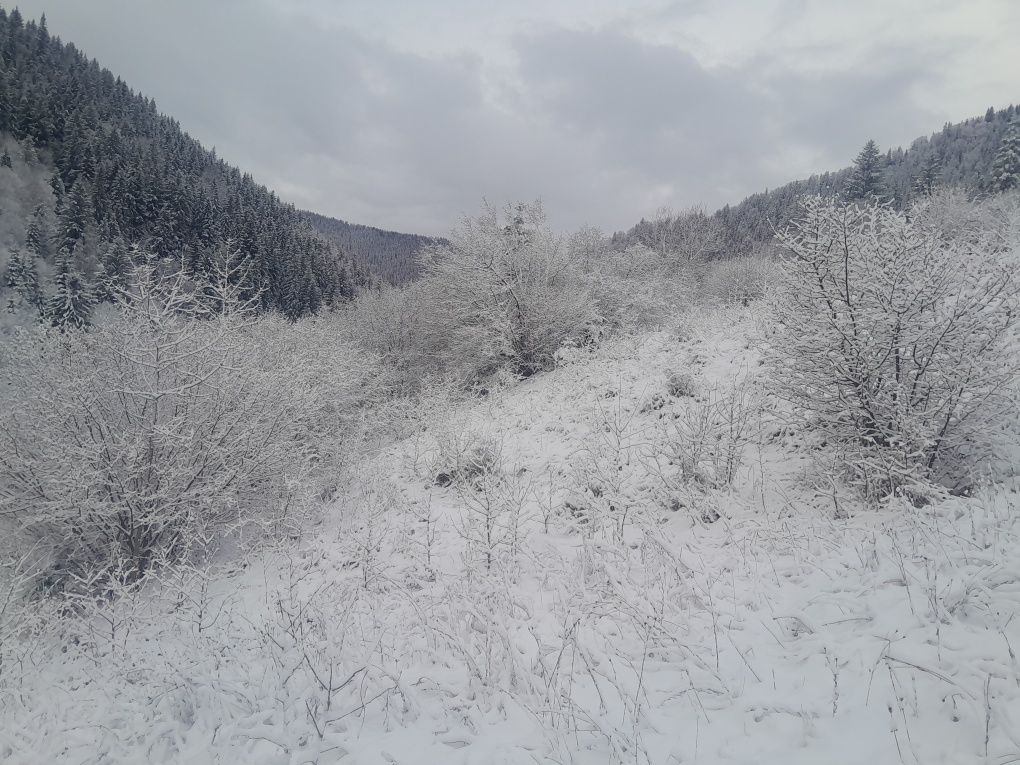 Земельна ділянка у Криворівні