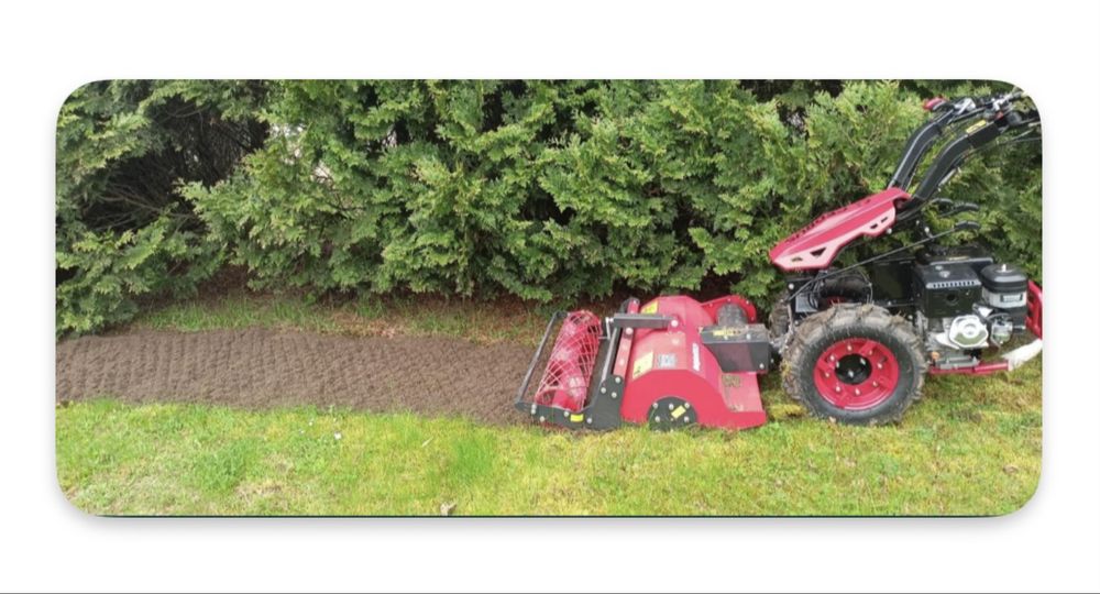 Glebogryzarka SEPARACYJNA wynajem