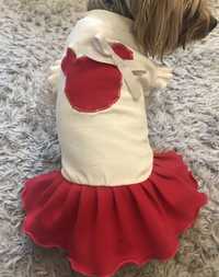 Ubranko słodka sukienka dla małego psa S XS