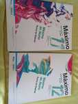 Livros fichas matemática 11 e 12 Ano cada