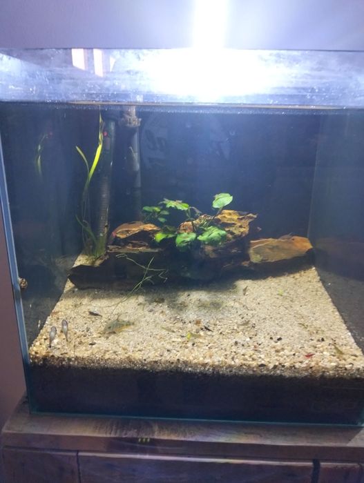 Aquário cubo de 40