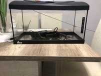 Akwarium 60l dla ryb