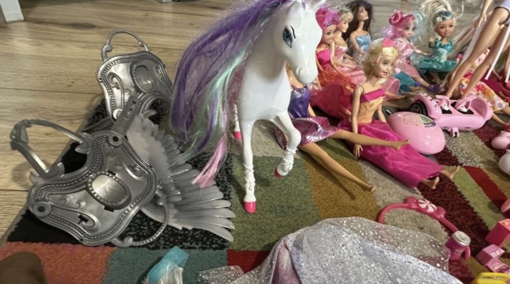 Lalki barbie, enchantimals, kucyki pony, bobasy, kookyloos