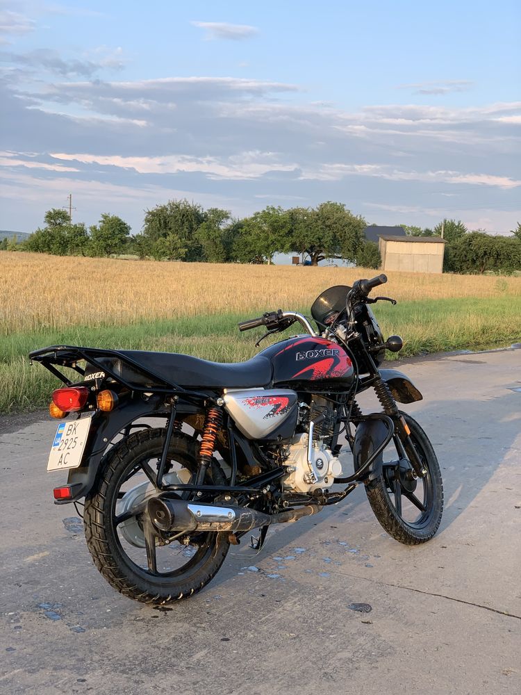 BOXER bajaj 150 x
