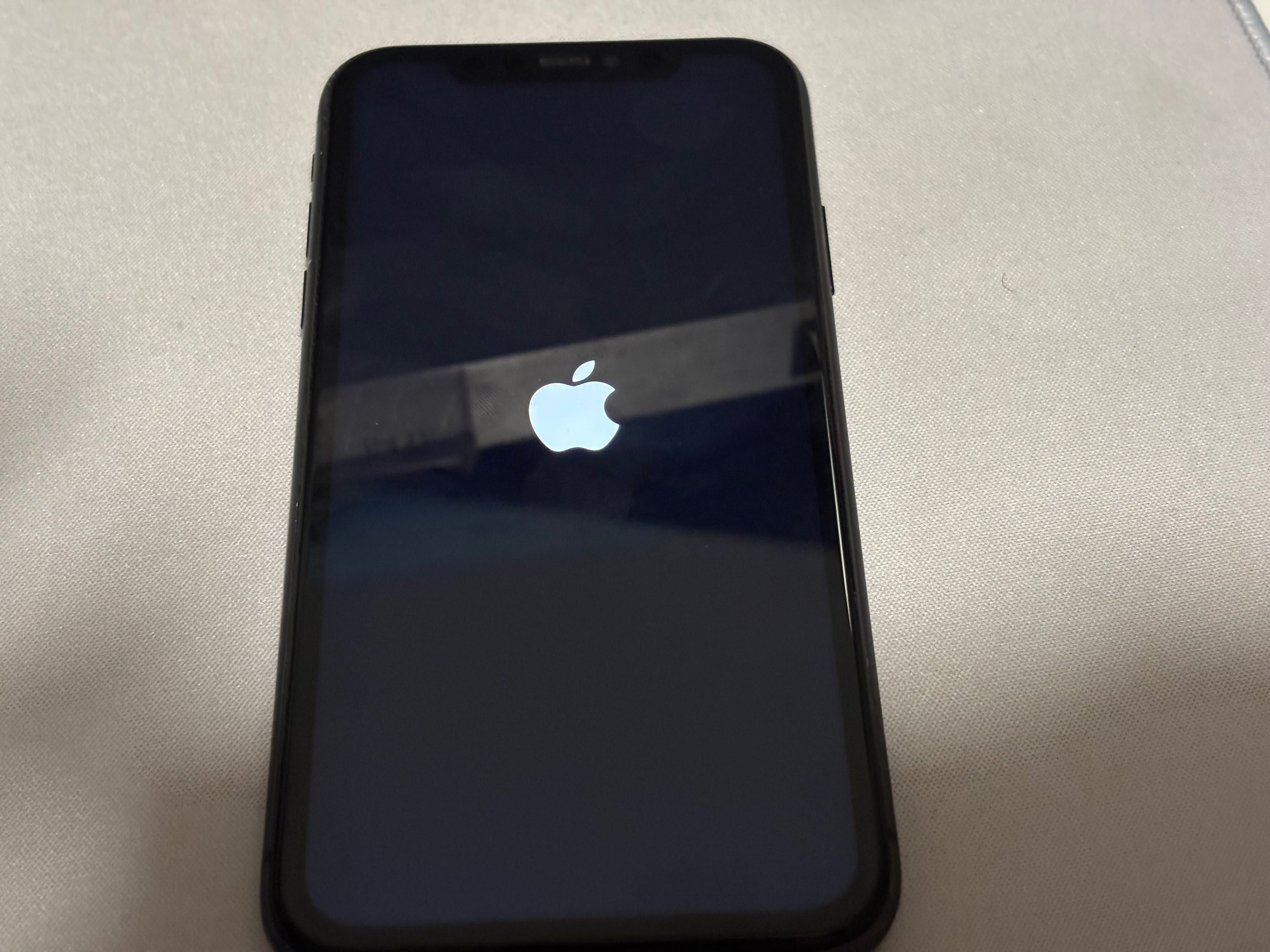 iPhone 11 (usado) na caixa com cabo