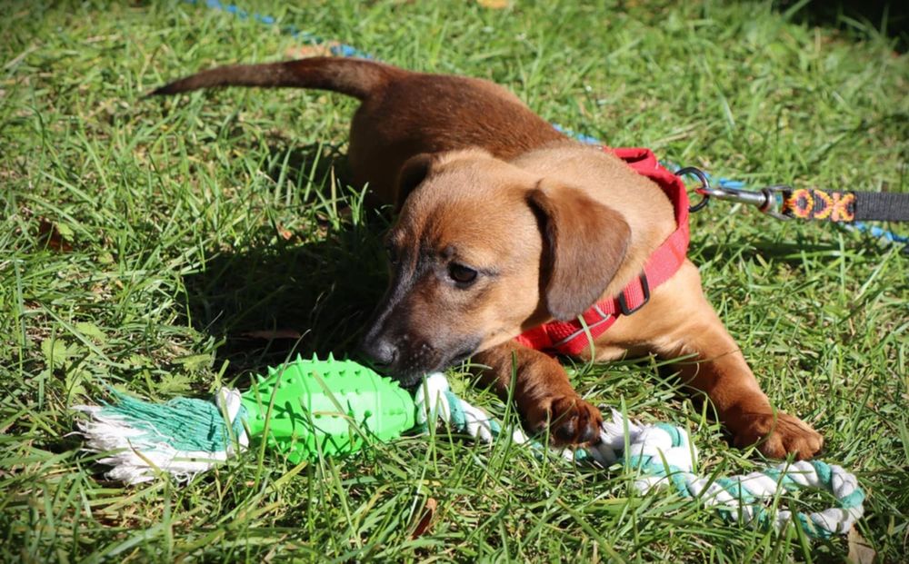 Wenus nadal szuka domku