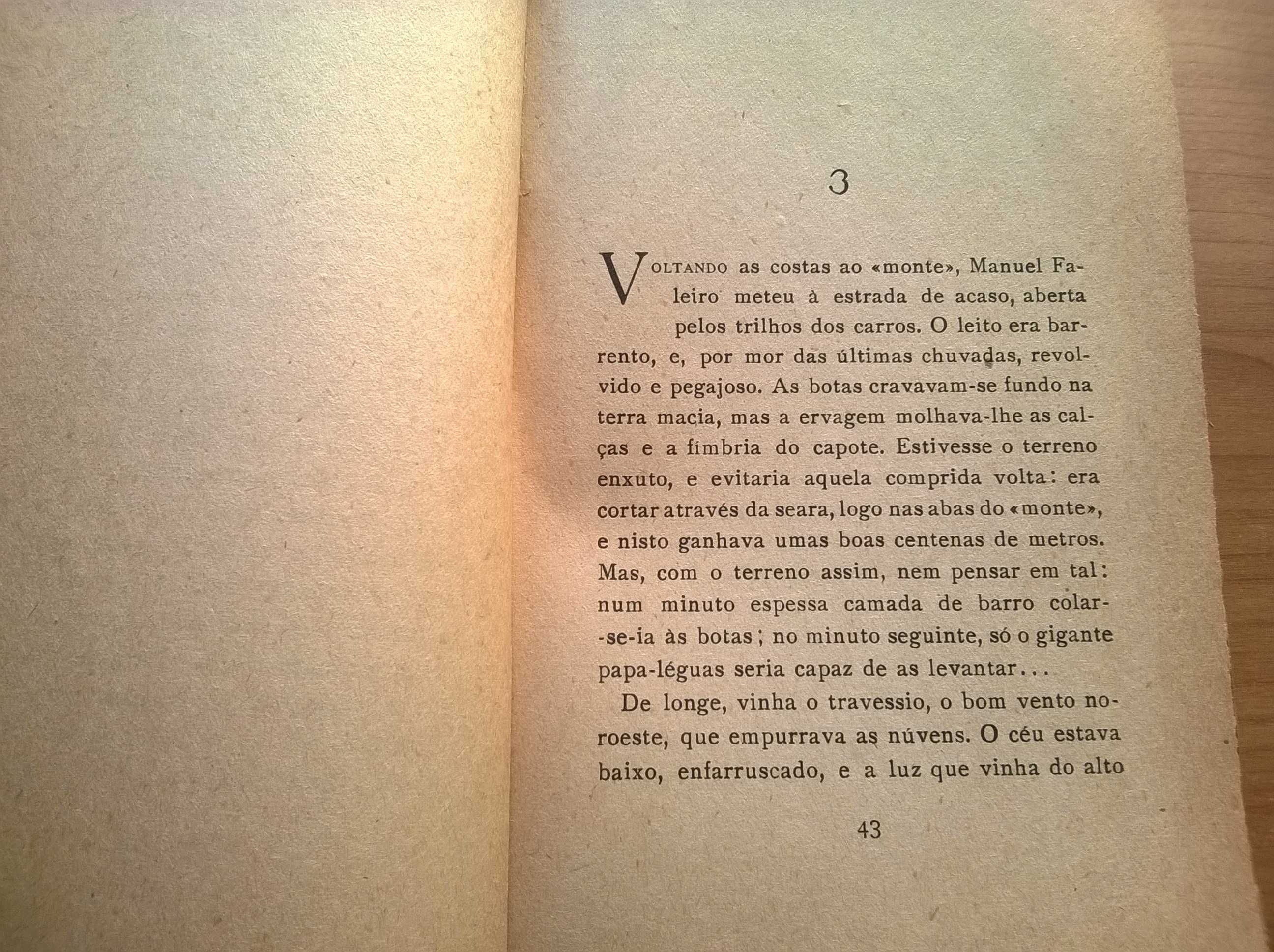 Sete Espigas Vazias - Garibaldino de Andrade
