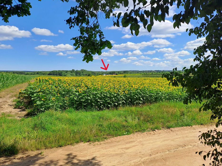 Dom na krańcu świata. Pełna prywatność, brak sąsiadów w pobliżu.