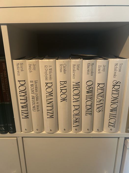 Zestaw książek  o historii literatury