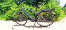 Rower Miejski Accent CrossTown 28" duży męski