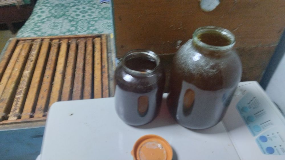 Мед лісовий,майовий,різнотравя,липа,травневий,забрус