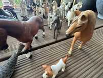 Dziesiątki koni Schleich na sprzedaż