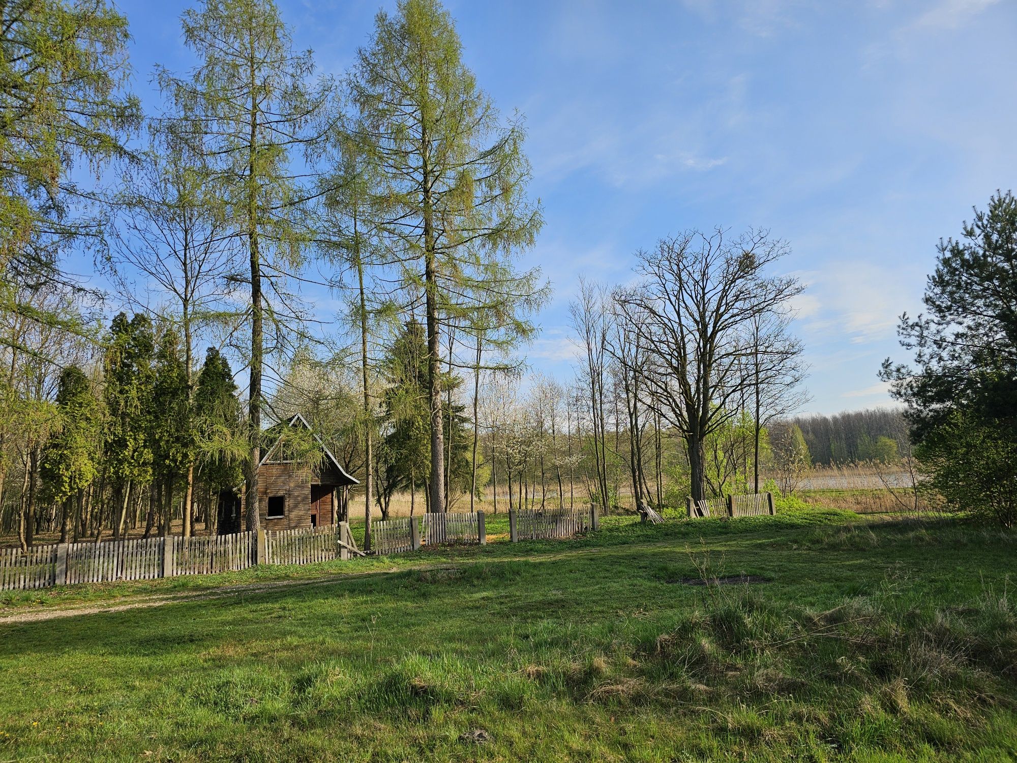 Sprzedam działkę Kaczków z WZ , 50km W-wa , 5 km Mszczonów, Okazja
