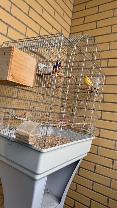2 Gaiolas para aves em bom estado