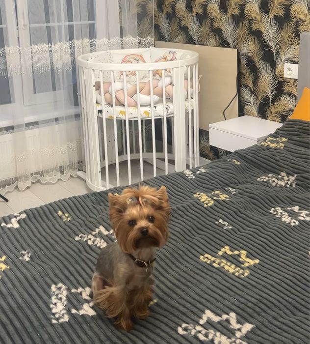 Продам кроватку дитячу 9в1 СРОЧНО