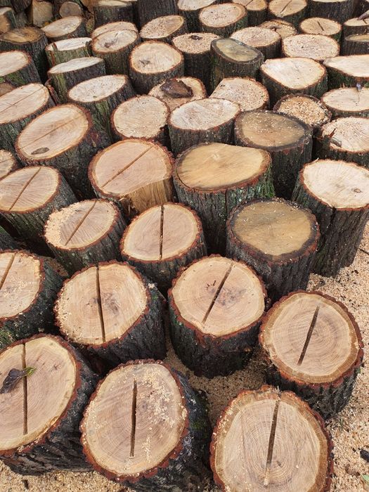 Dąb, Brzoza, Buk, Jesion, Sosna- drewno kominkowe, opałowe