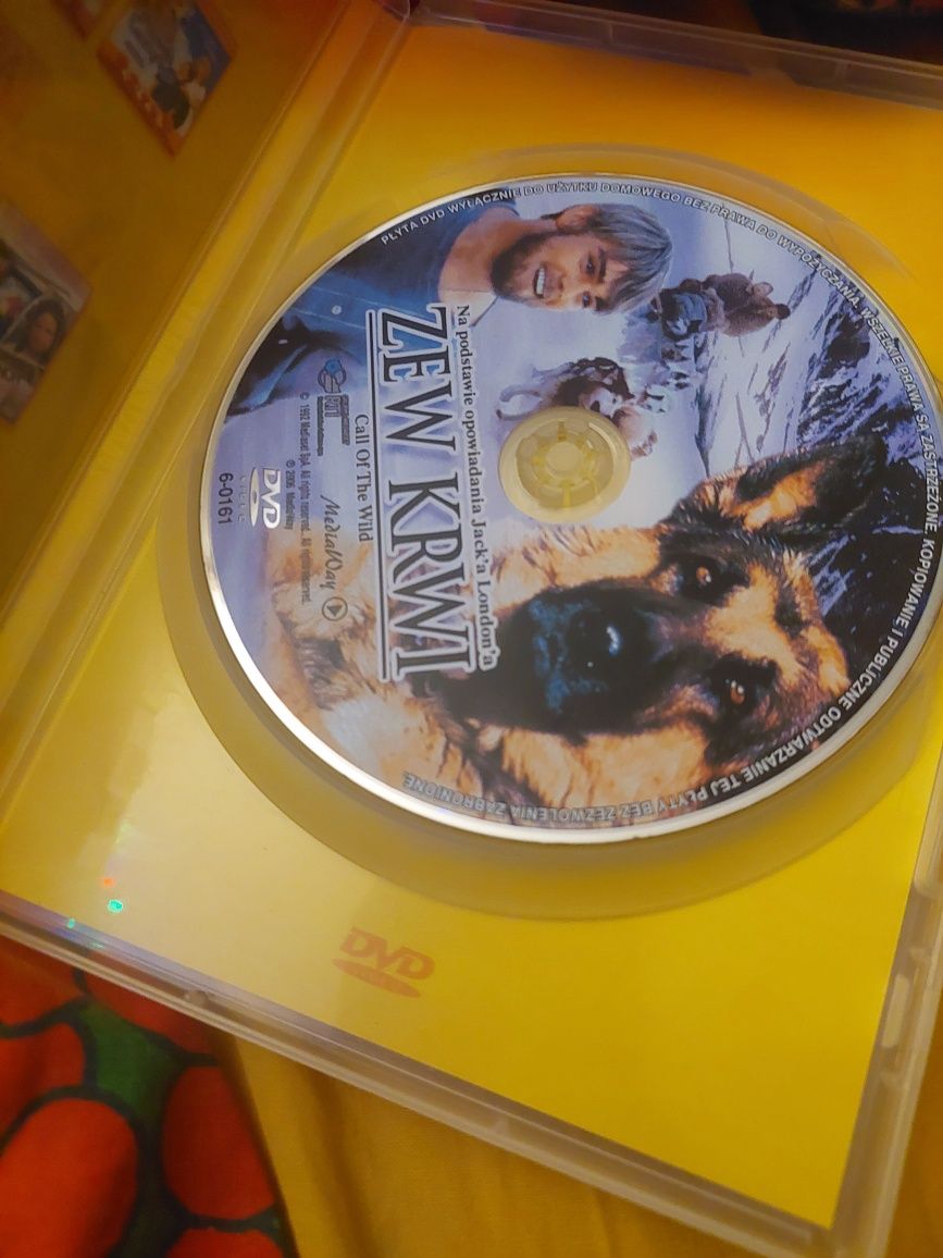 Zew Krwi Call of the Wild DVD