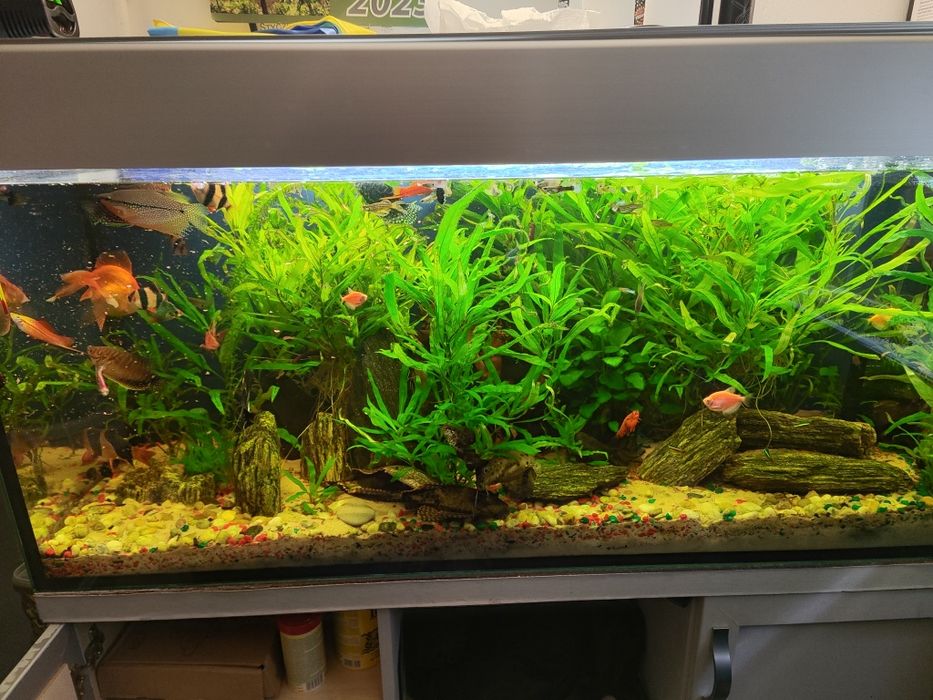 Sprzedam akwarium 240L
