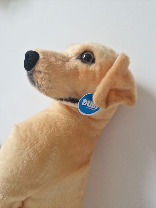 Piesek labrador pluszowy