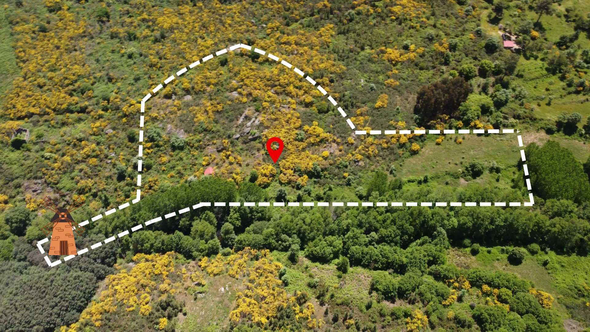 Terreno em Fornos de Algodres