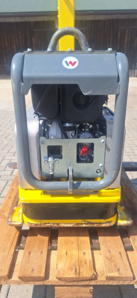 Wacker Neuson DPU 5545 z 2024r stan IDEALNY zagęszczarka płyt
