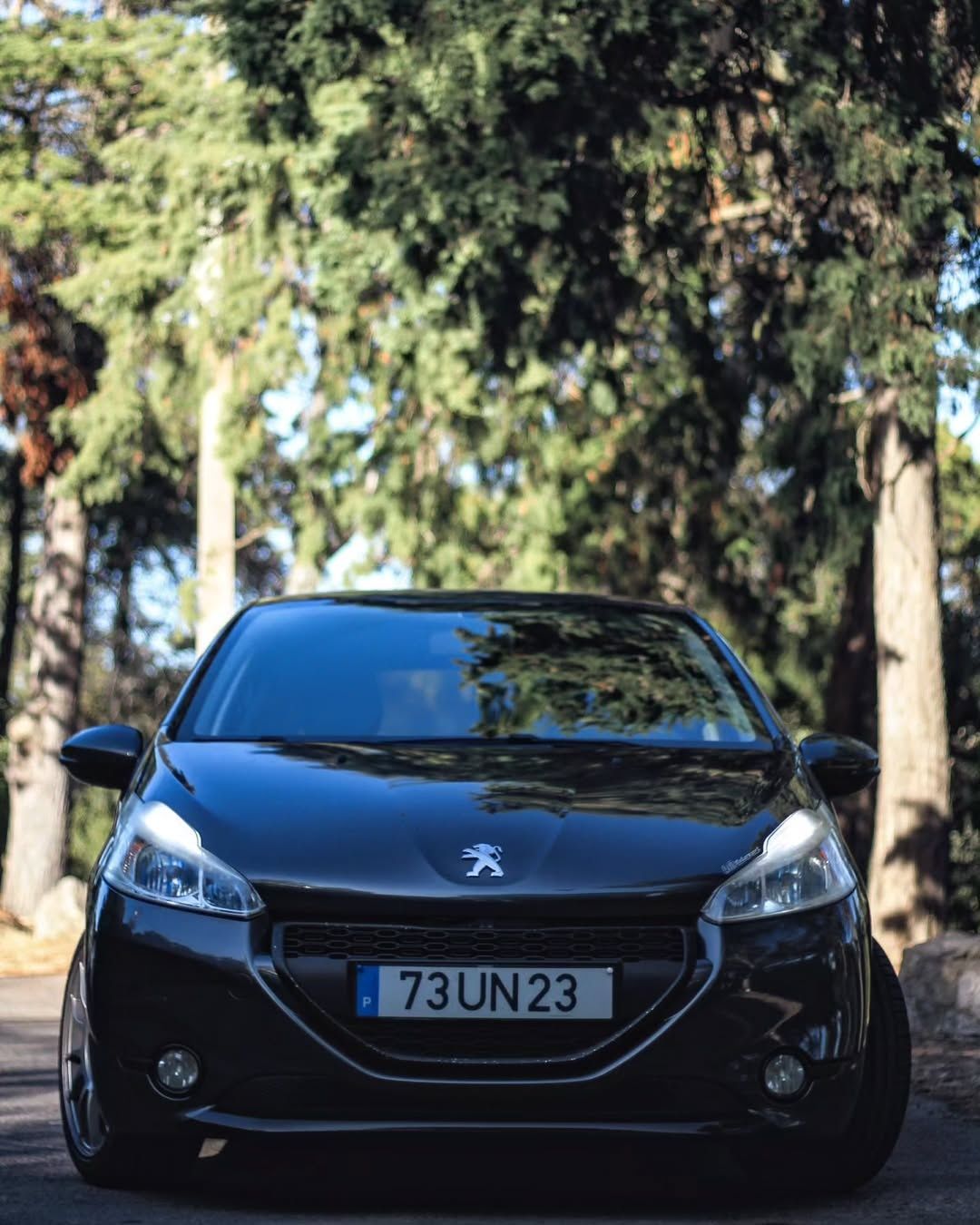 Peugeot 208 1.6 hdi