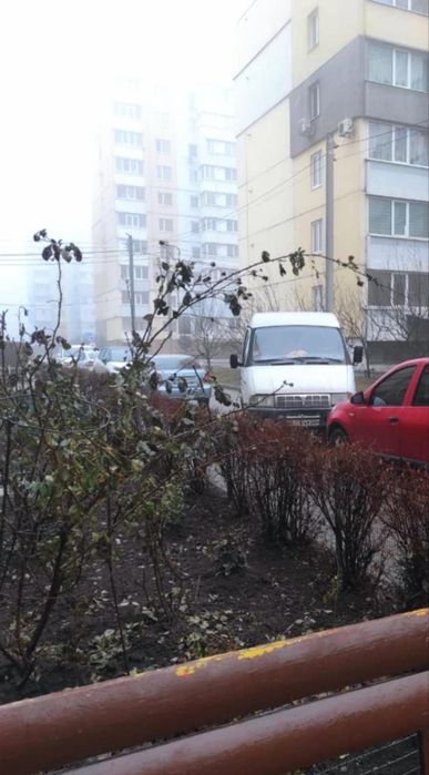 Газелька недорого. Газ