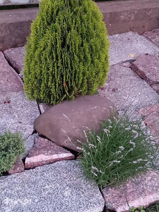 Камінь(граніт) рокарій клумба