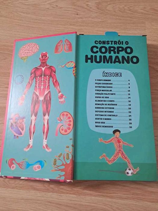 Livro corpo humano Guia Interativo + Esqueleto para montar
