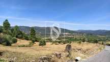 Quinta da Fontinha - Belmonte