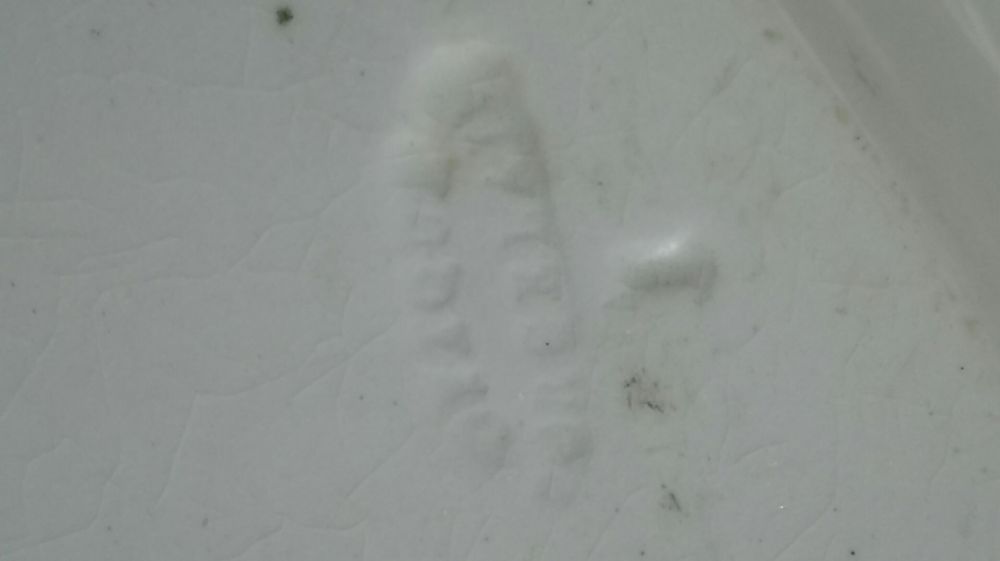 Travessa louça inglesa (ler texto)