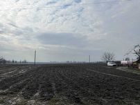 Земельна ділянка  Дядьковичі 0,2798 га        5000 у.о.