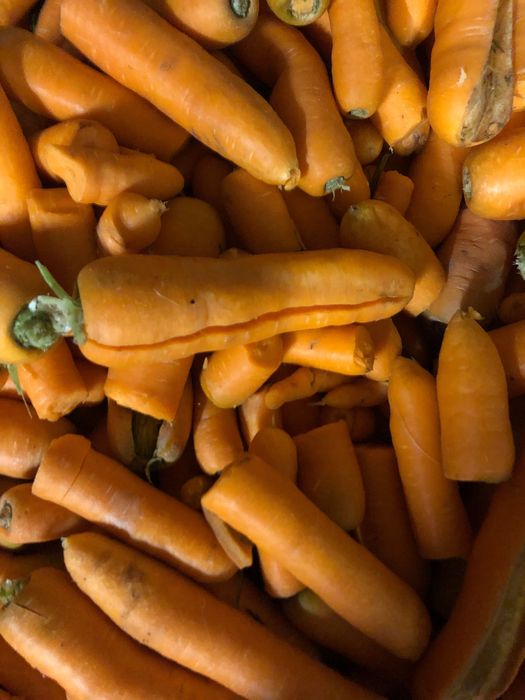 Sprzedam marchew odpadowa luzem