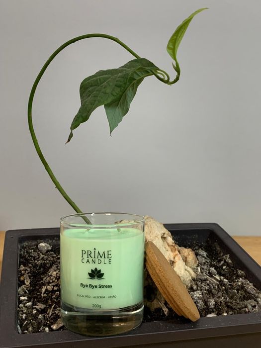 Velas Aromáticas Artesanais  200g