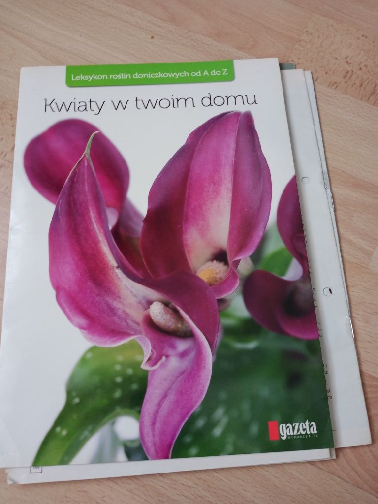 Kwiaty w twoim domu Leksykon roślin