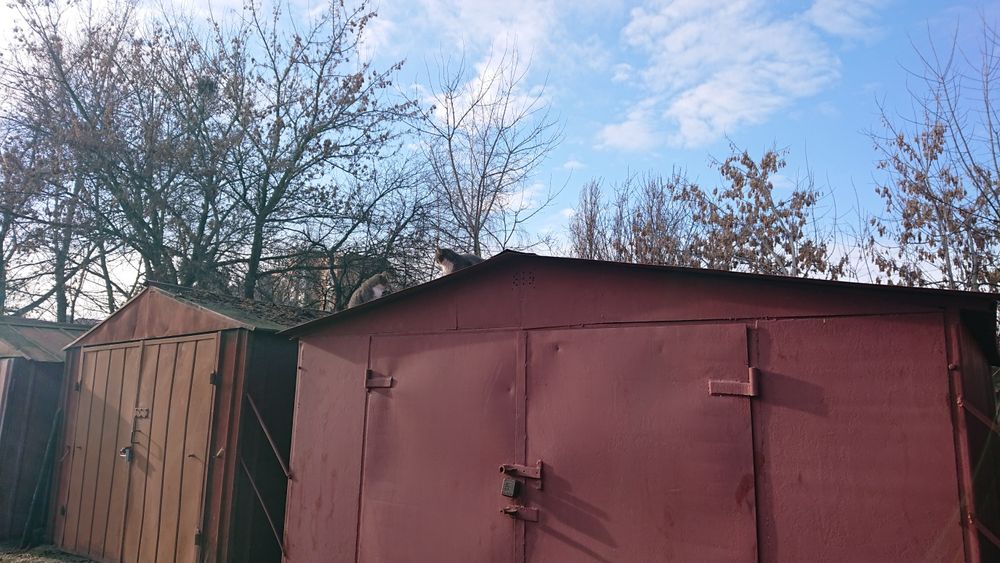 Аренда гаража. Утеплен каучуком. Долгосрочная.