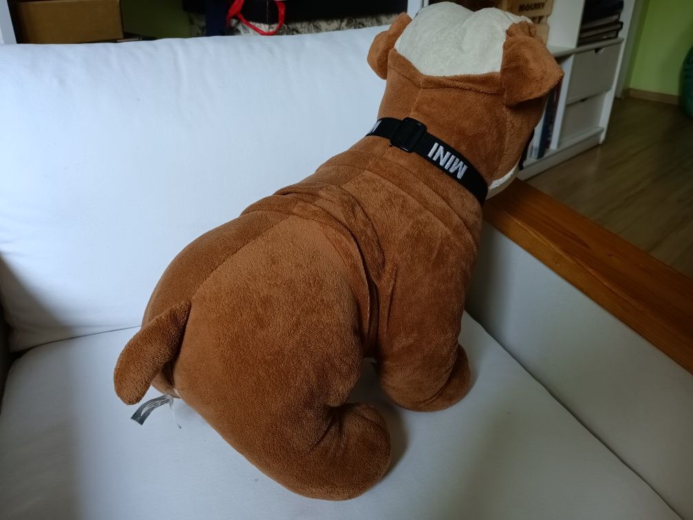 Pluszak Buldog z kolekcji Mini