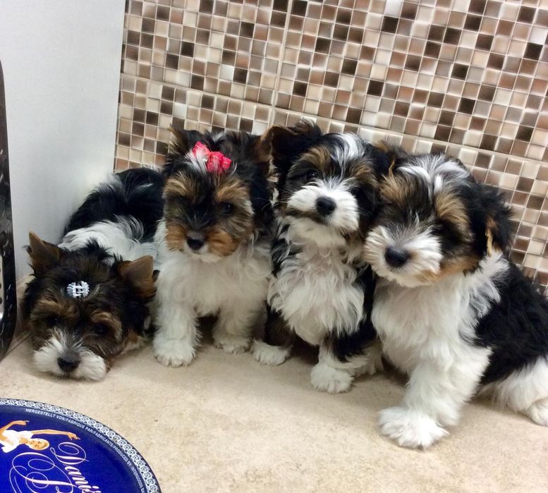 Милі дівчата хлоп'ята позитивки, документи є