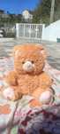 ursinho de peluche