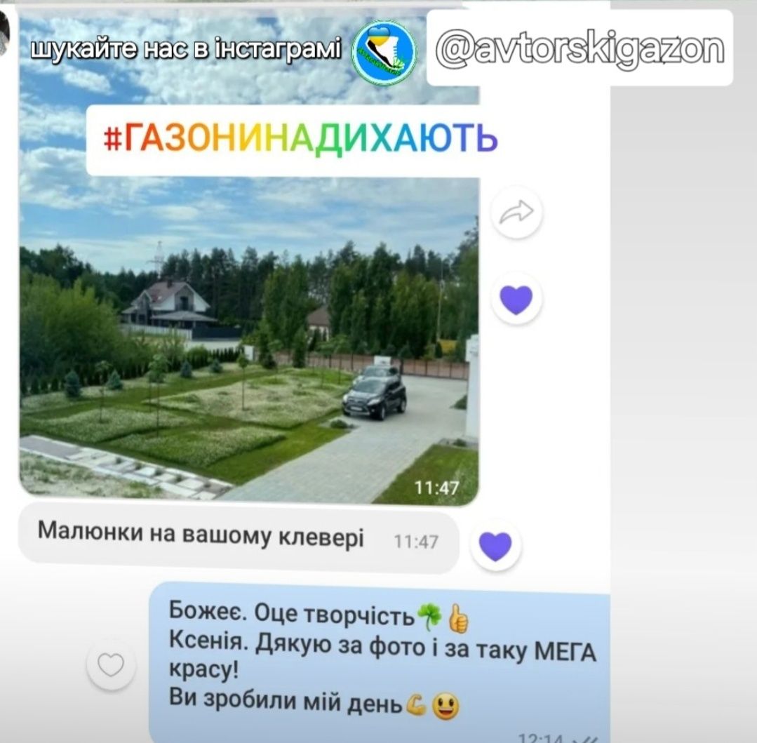 Микро Клевер семена Пиполина на развес по 10г DLF оригинал