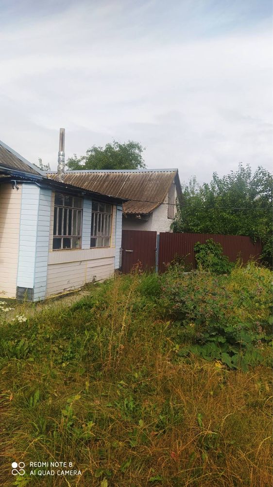 Продаж будинок село Вільшанська Новоселиця