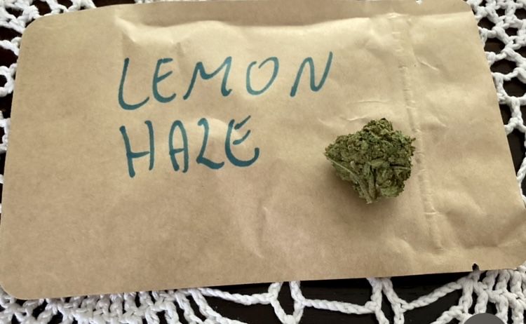 LEMON HAZE 250g Premium CBD THC >0,3% Marihuana Szara Strefa