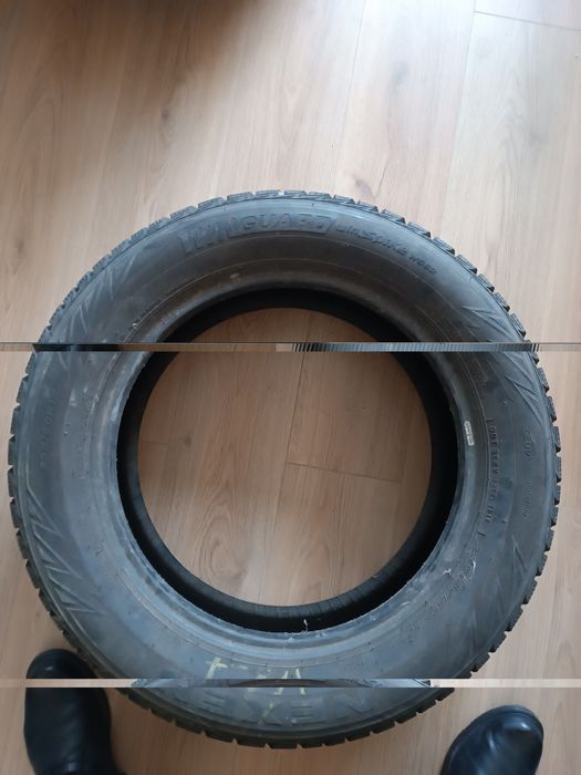 NEXEN WinGuard WinSpike WS62 SUV 225/60R18 100T (Шип)