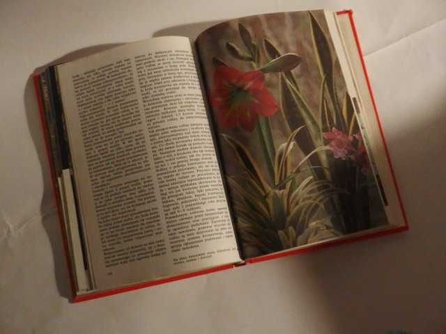 książka poradnik Kwiaty w naszym domu Karlheinz Jacobi