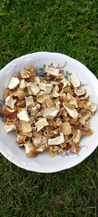 Borowik szlachetny suszony