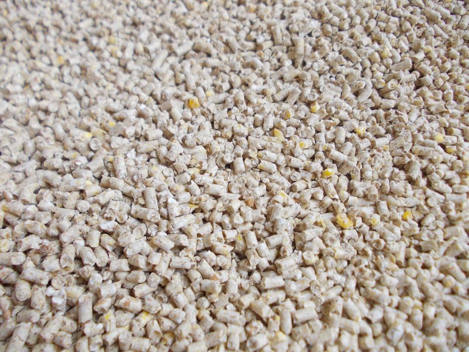 Pasza dla Kur niosek - mikrogranulat -Witaminy+ zioła